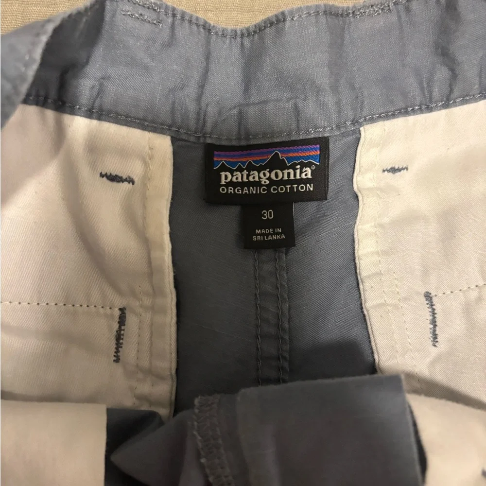 Patagonia Men's Blue Gray Shorts